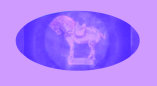 new_york_antqiue_shows001015.jpg